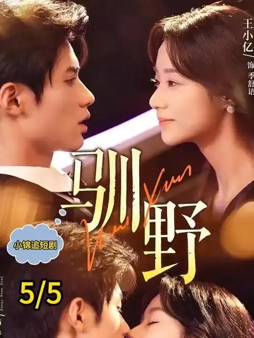 镜像回声